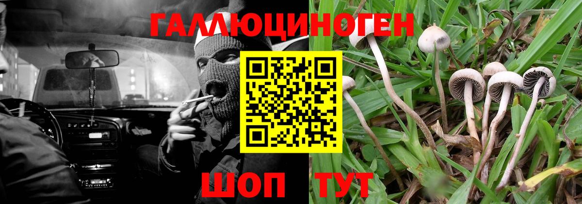 Псилоцибиновые грибы Psilocybe  Вход с VPN  Владимир  Галлюциногенные грибы мухоморы 